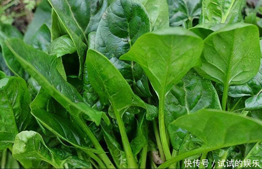  冬天过半，不妨多吃三种食物，养肝排毒，值得一试