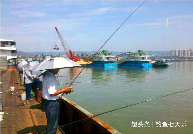 长江禁渔不等于禁钓！钓具“正面清单”待出炉，休闲垂钓应受保护