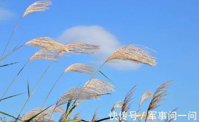 痴情|8天以后，情已消散，难舍痴情，斩断曾经，比翼齐飞，真情不断