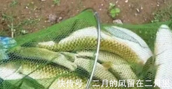 铅皮带|一补窝就停口该怎么办?更换钓位是下策,真正的高手都会这么做