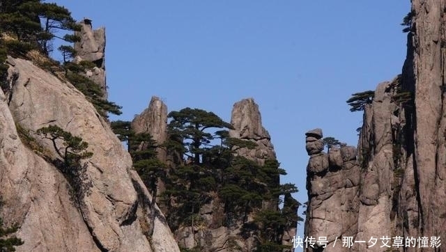 黄山风景区的迷人之处在哪里？黄山奇松、怪石、云海、温泉最迷人