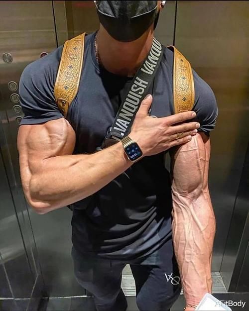 健身房|了解肱三头肌的训练原理,随时随地都可以训练,手臂岂有不粗