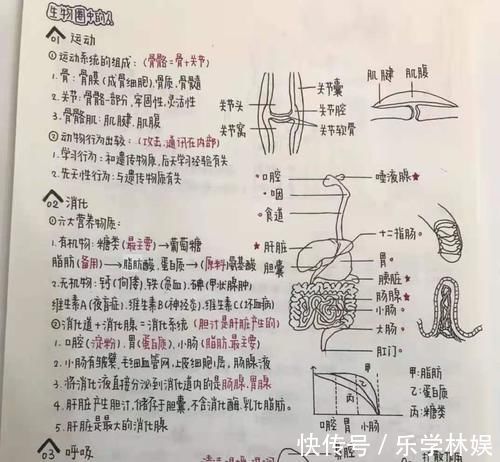 阅卷老师@可爱而工整的“奶酪体”，中小学生纷纷模仿，老师直言：忍不住就想扣分