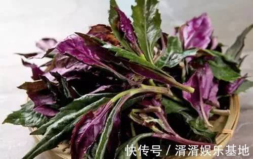 清肠排毒|天然“补血菜”，比阿胶还养人，祛黄除斑抗衰老，女性不妨多吃