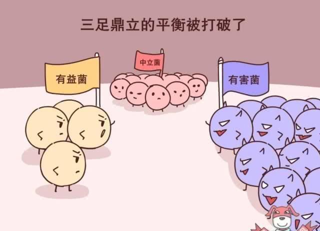 减肥|0卡路里0热量,代糖真的是完美的减肥圣品吗