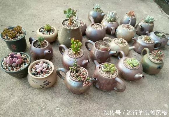 花盆还在买?一找一大堆,1毛钱不花,比买的花盆还要好