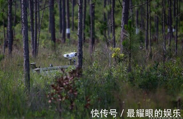 自动驾驶|美国海军陆战队测试“远征模块化自动驾驶车辆”士兵表示不放心