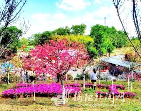 揭西各旅游景区迎来八方游客 旅游市场迅速回暖