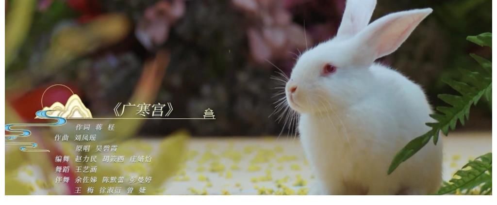 节目|河南卫视又一节目出圈，4大创意让中秋的广寒宫，终于不“寒”了