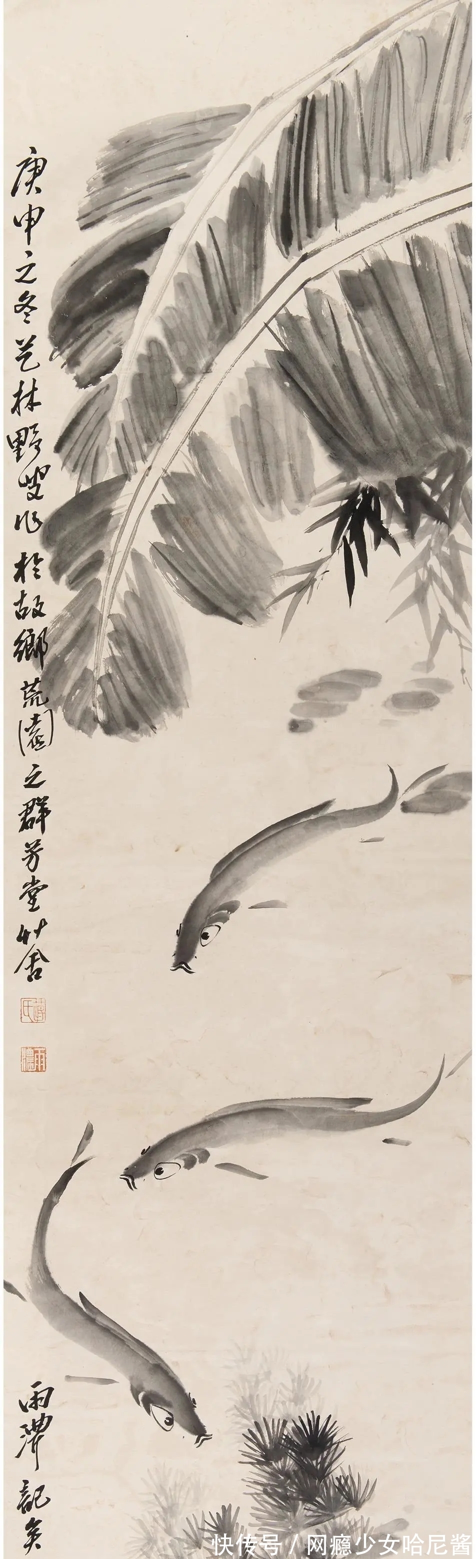 花鸟画@随心所欲、自然天成｜蒋雨浓写意花鸟画