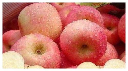 胡萝卜素|女性备孕适合吃什么水果，一起来了解一下！