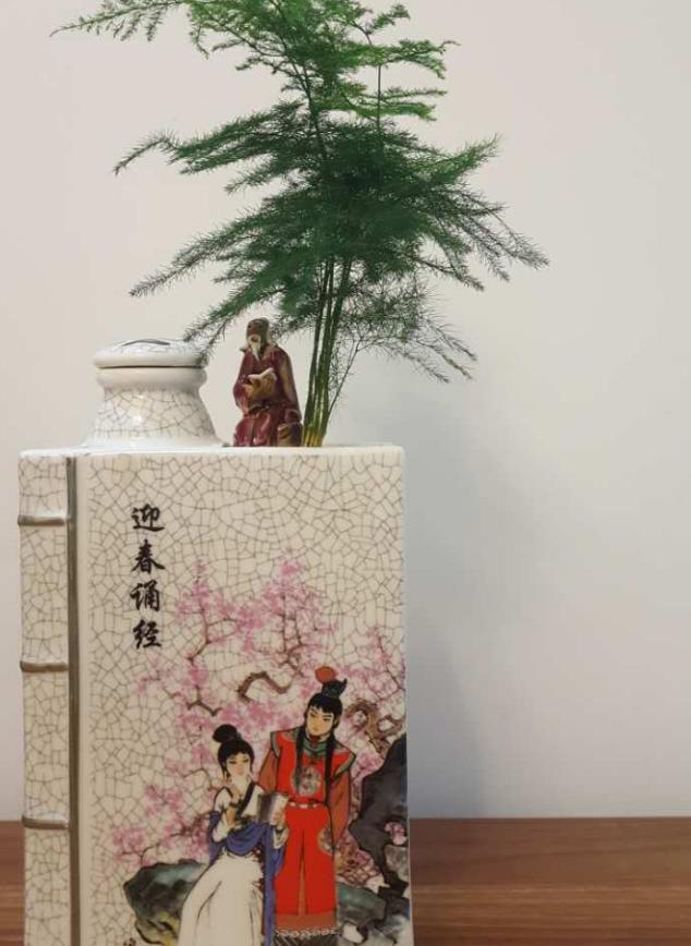 酒瓶外形好看就拿来当花盆,搭配文竹、吊兰、金枝玉叶,特美!