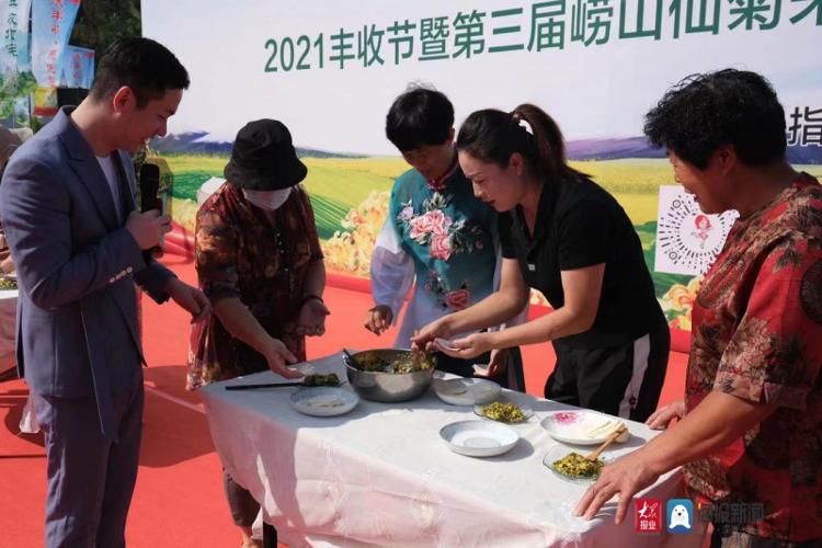 绿水青山|吃玩赏！第三届青岛崂山仙菊采摘节正式启动！