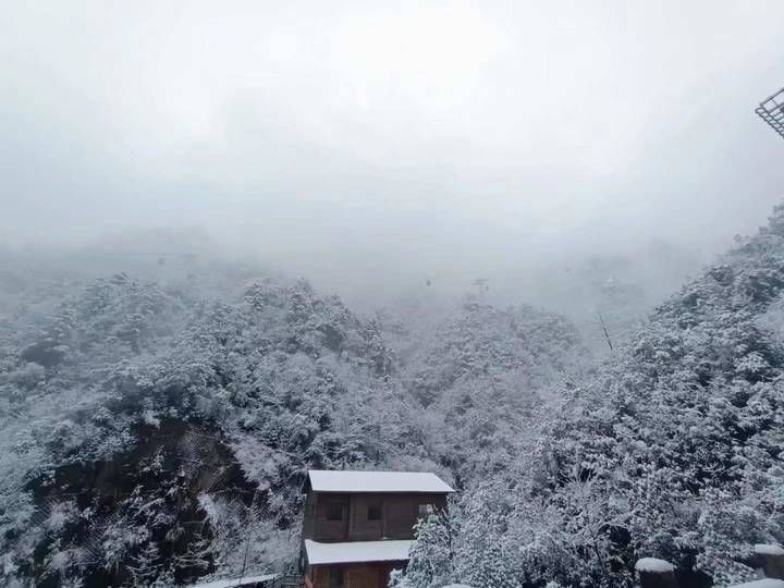 赏雪|我“盟”一起赏雪丨杭州多地又飘雪 银装素裹美翻了