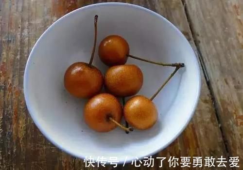 棠梨|这野果子，小的有拇指头这么细，大的有脚趾头这么粗，你吃过吗？