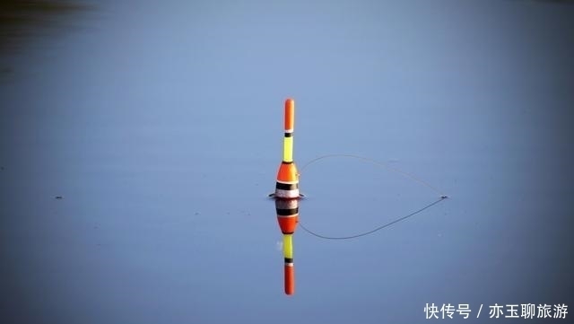 长子|钓鱼可能从来没有想过认真分析这两点,这才是夏季获鱼的要点所在