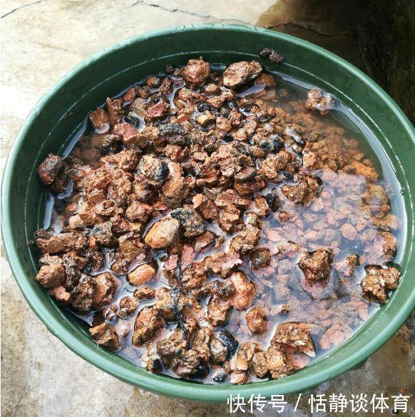 开春别换盆了,这7种东西撒土里,花吃了新叶子呼呼冒!