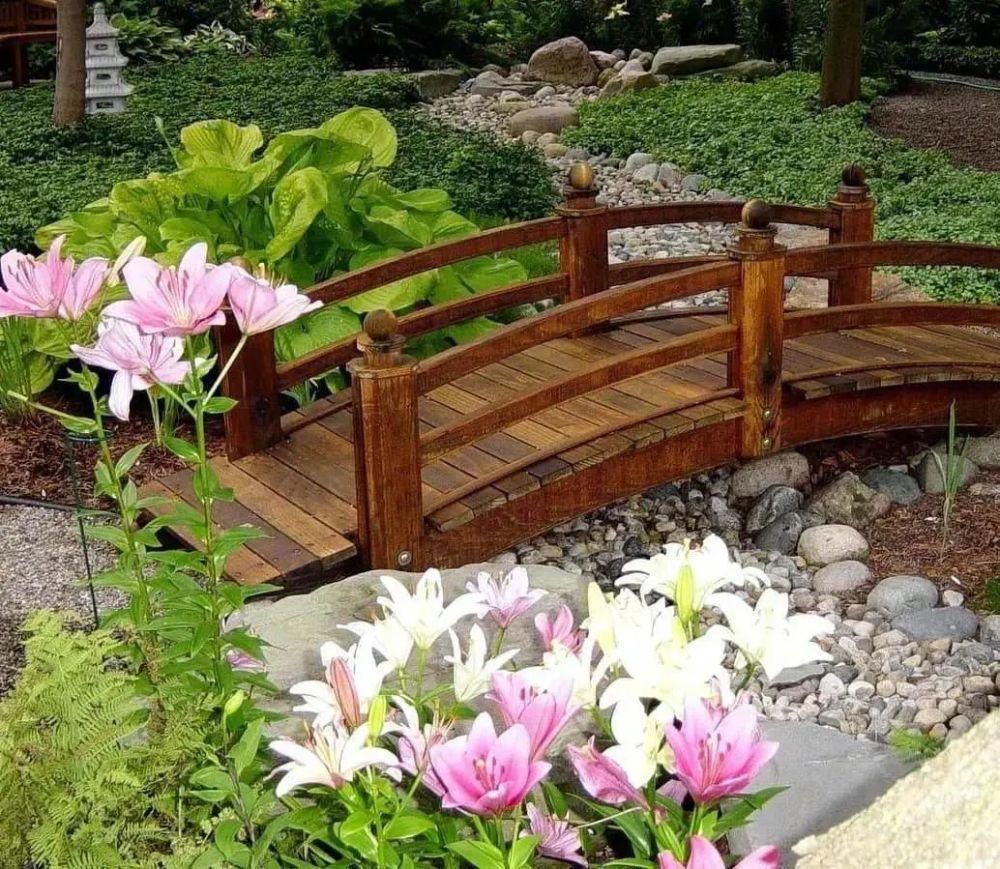 中年|让庭院充满乐趣的小景是这个样子的！！！