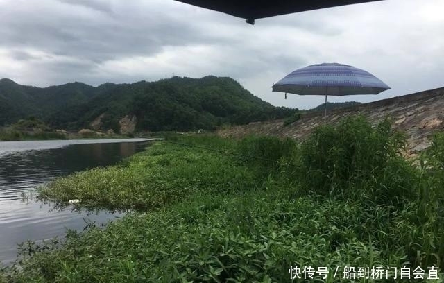 坏习惯|关于钓鱼的5个陋习,绝大部分钓友都有,看你占了几个