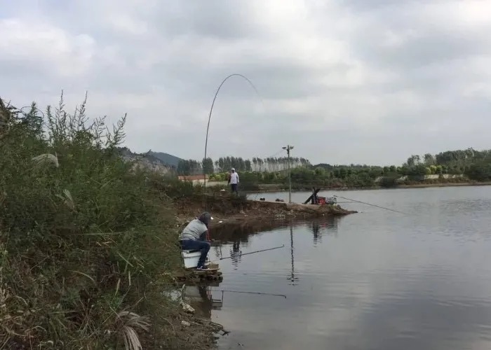冬天冷,鱼口轻,关键时刻还得靠这3招,钓友:幸福来得太突然