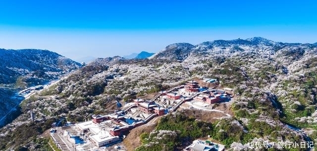 老年|金佛山雪桶挑战来袭,感受最突如其来的动心