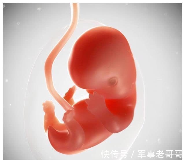 尿液|怀胎十月，胎儿的排泄物都去哪了？看完整个人都不好了
