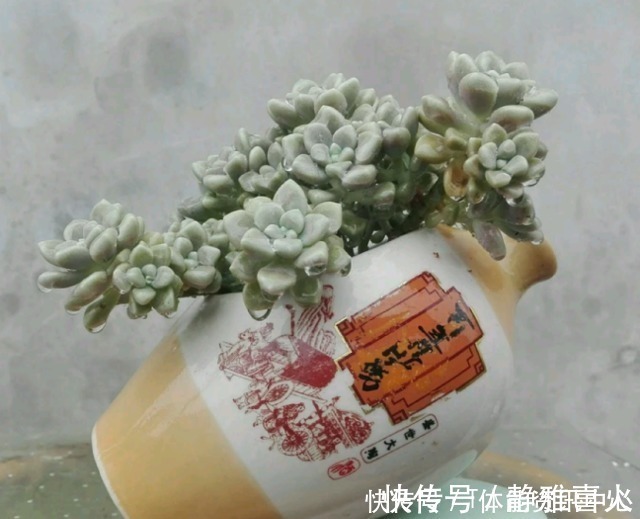 切割机|花盆买不起，自己动手做，好看又实用！花盆买不起，自己动手做，好看又实用！