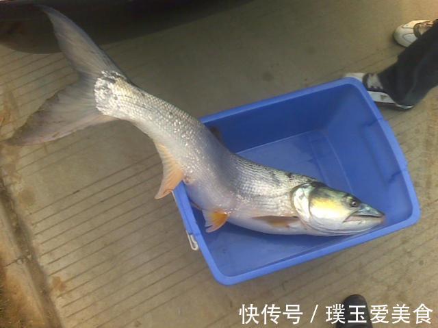 碳布|这几种渔具不要买，因为他们赚了你的钱还把你当傻瓜，记牢了