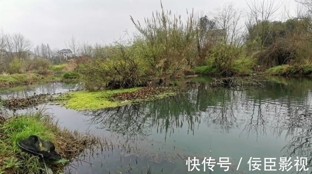 钓位|野河钓不到半斤以上的鲫鱼？不是水里没鱼，可能是鱼太多了！