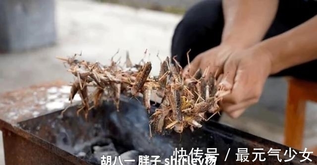 马国庆|被《云南虫谷》野泳镜头吓一身鸡皮疙瘩，马国庆溺水身亡如何解释