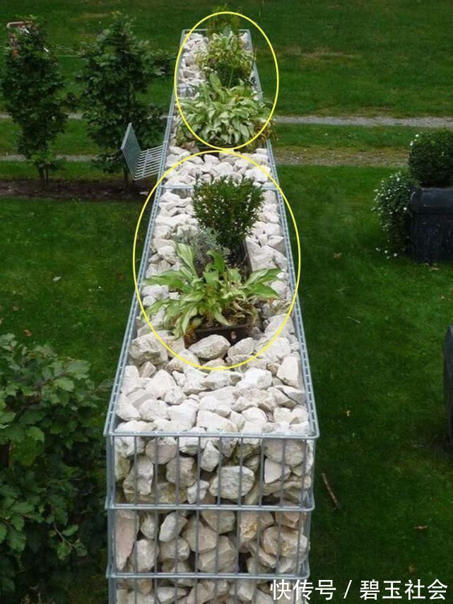 金属|羡慕邻居家后院,花坛不用砖垒,金属网包点石块堆堆,漂亮又独特