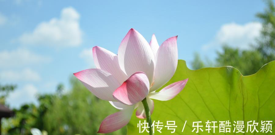 财喜两旺|下半年起,财喜两旺,3属相开门迎“好孕”,扬眉吐气