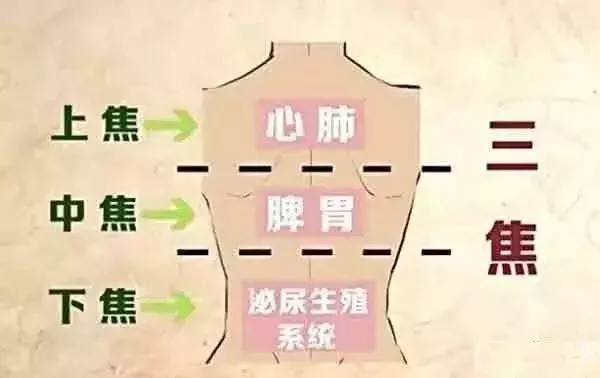 法站桩|惊人的古法站桩,中医专家极力推荐,早实践早受益