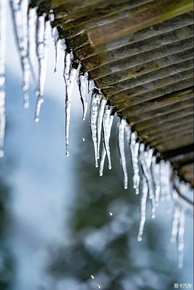 没有门票！无需登山！1天打来回的冷门耍雪地