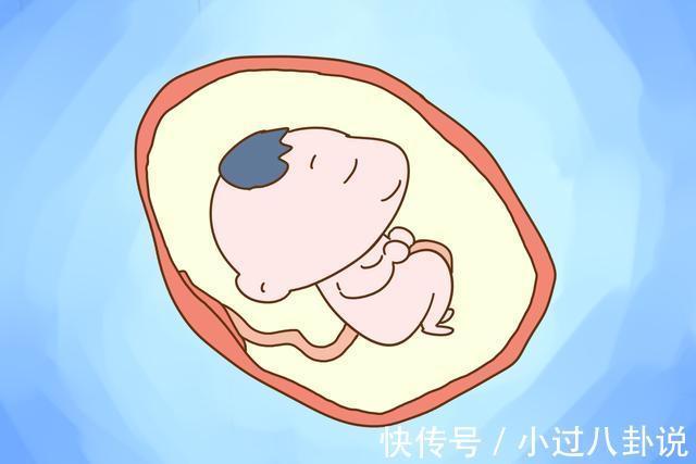 胎儿|要孩子之前不戒酒,对胎儿有多大影响?