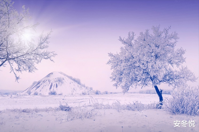 满山川@采撷日光的暖意,走进冬之素简