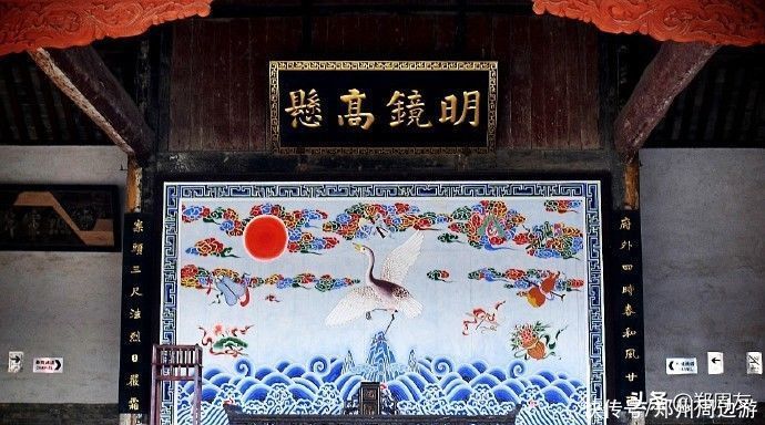 中年|蜡梅，南阳府衙最美的遇见