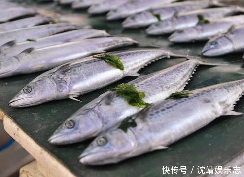 休渔期正式结束，6种海鲜敞开吃，营养高味道好，价格也不贵