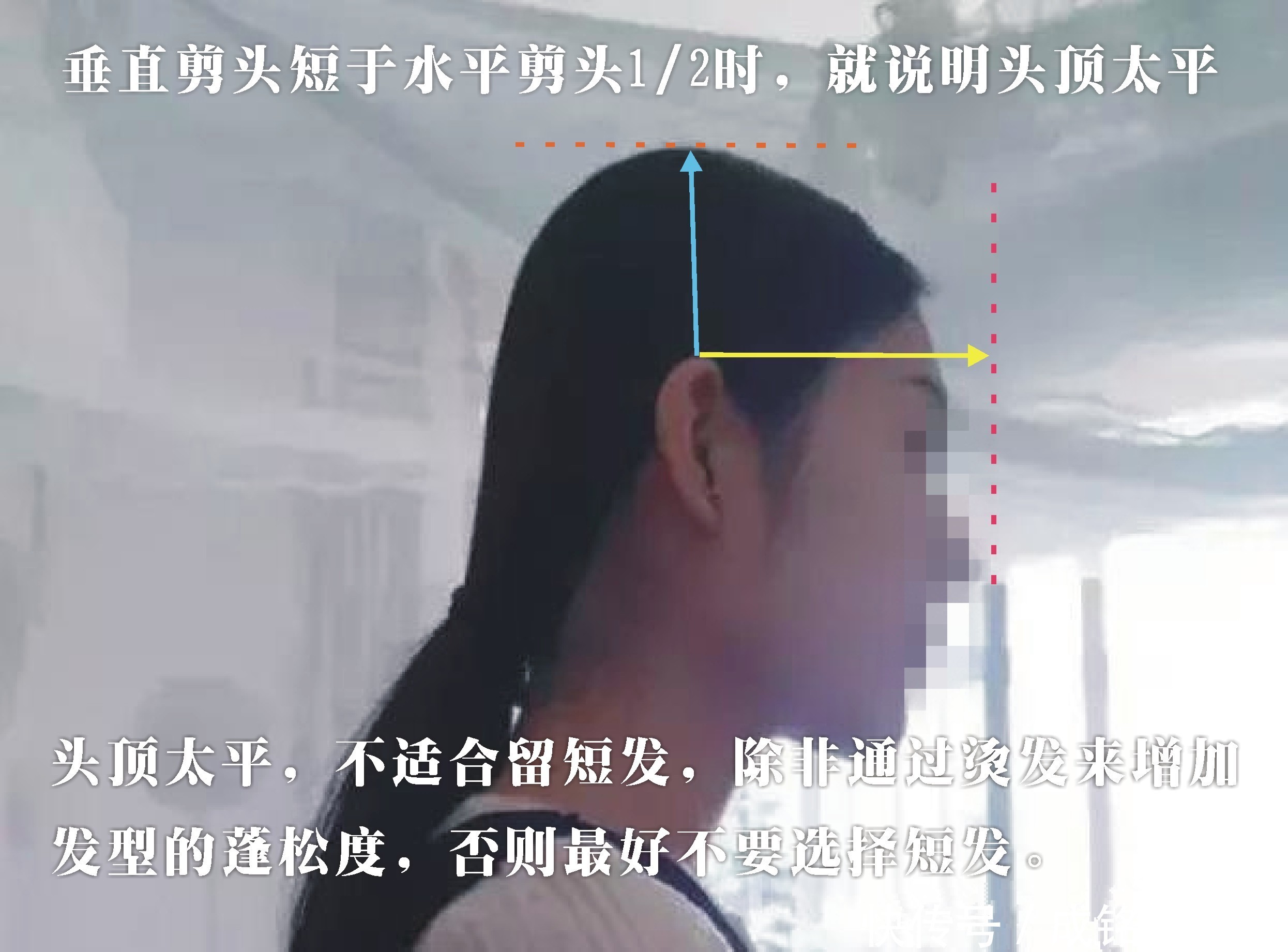 有这三个“特征”的女人，不适合留短发，不仅显脸大还显老