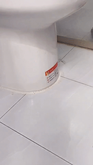  打扫|我最明智的10个卫生间决定，打扫很方便，每天干干净净！心情很棒