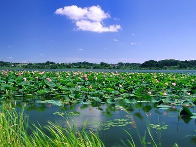 河北|几千年前，河北曾有一个比巢湖还大的湖泊，白洋淀不够看