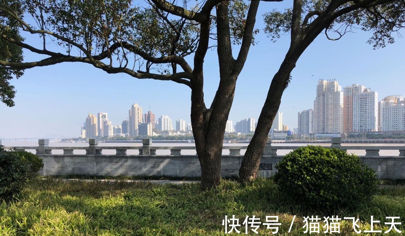 发达国家|在中国, 如果10年后房子和车子最不值钱了, 那什么会最值钱！