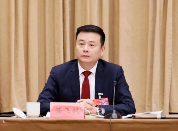 宁波市市长汤飞帆