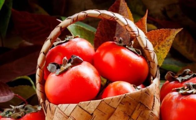 红心火龙果|元宵节就在今天,家里要备好3种吉吉果,寓意喜气洋洋幸福如意