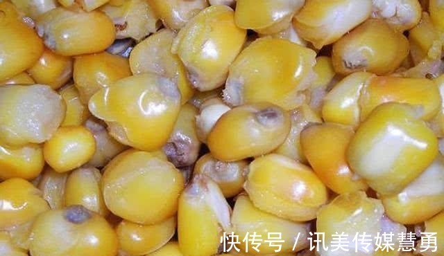 秘诀|玉米钓鱼有秘诀？看别人用就能上钓大鱼，为何你至今一条没钓到