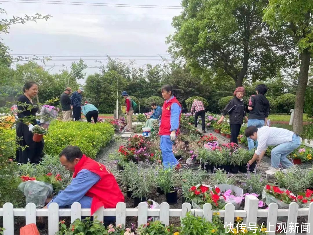 花园|从菜地式种植到花园式管理 睦邻花园与社区园艺师擦出美丽“花火”