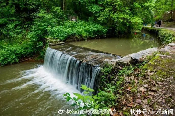 假山|拙政园、豫园、个园、沈园……长三角这些曲径通幽的园林，你去过几个？