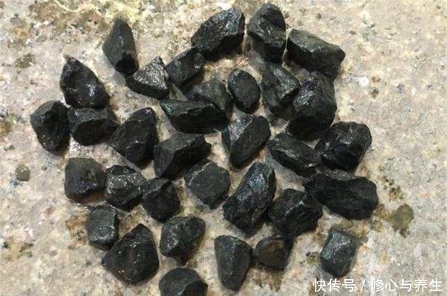 花盆土壤“硬如砖”，去公园捡“2宝贝”埋盆里，土壤松软白根壮！