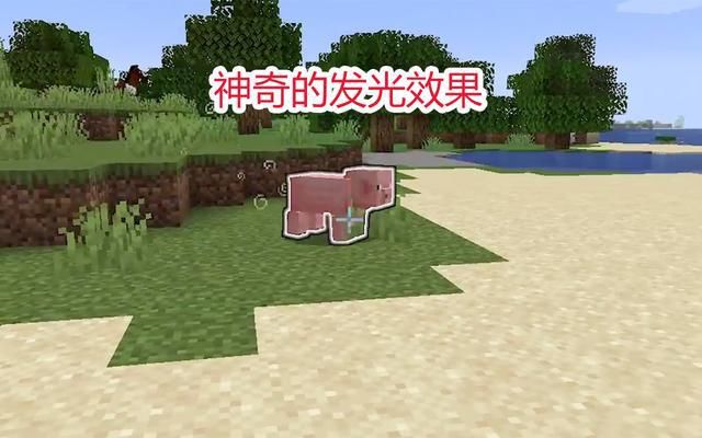 隐藏效果|我的世界：5大隐藏状态效果，小白非常喜欢，大佬看了差点失控！