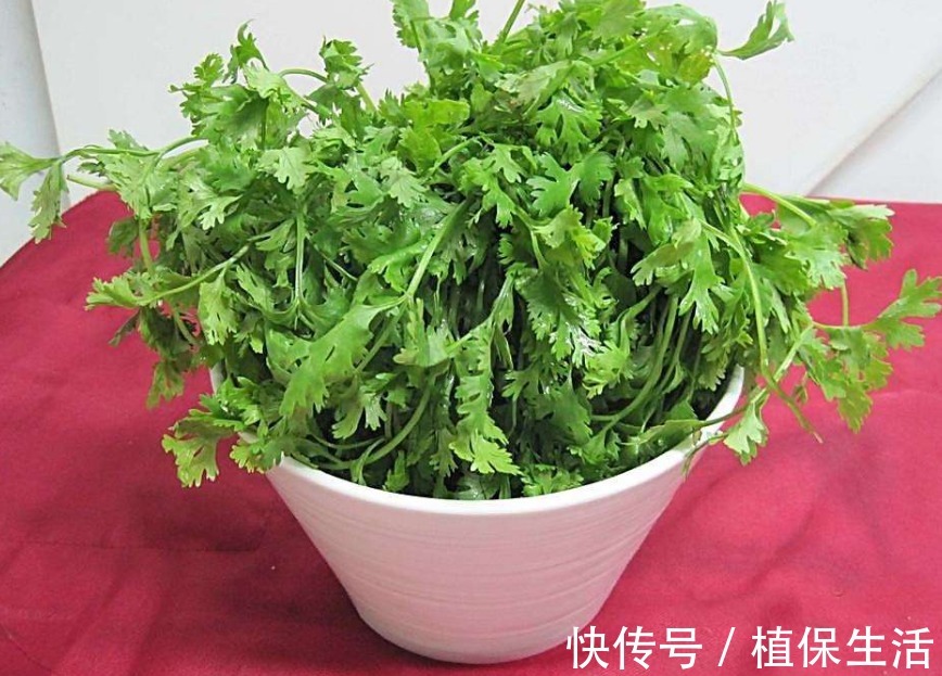 配方|补肾男人补肾的配方,有香菜就能搞定,一治一个准